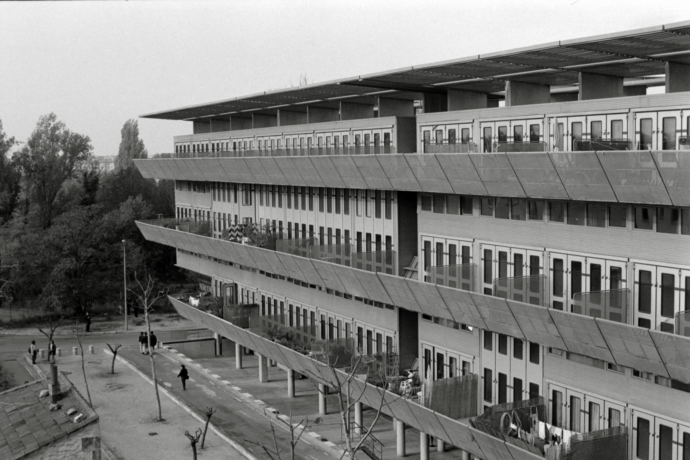 AHP F1995 10 004 sc240816 img12 NLP